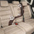 Polynesia Hibiscus Back Car Seat Cover Cameo Curve Motif - Polynesian Pride