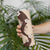 Polynesia Hibiscus Skinny Tumbler Cameo Curve Motif - Polynesian Pride