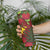 Kakapo Bird New Zealand Skinny Tumbler Floral Christmas