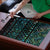 Maori Niho Taniwha Te Wheiao Puzzle Paua Shell - Polynesian Pride