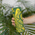 Kia Orana Cook Islands Skinny Tumbler Plumeria Tropical Waves - Polynesian Pride