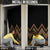 Gold Aotearoa Mangopare Kowhaiwhai Niho Taniwha Door Cover Maori New Zealand - Polynesian Pride