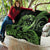 Green Hawaii Ikaika Warrior Quilt Hawaiian Power