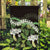 Omaomao Aloha Hawaii Lei Garden Flag Tropical Flowers Elegant Vibe - Polynesian Pride