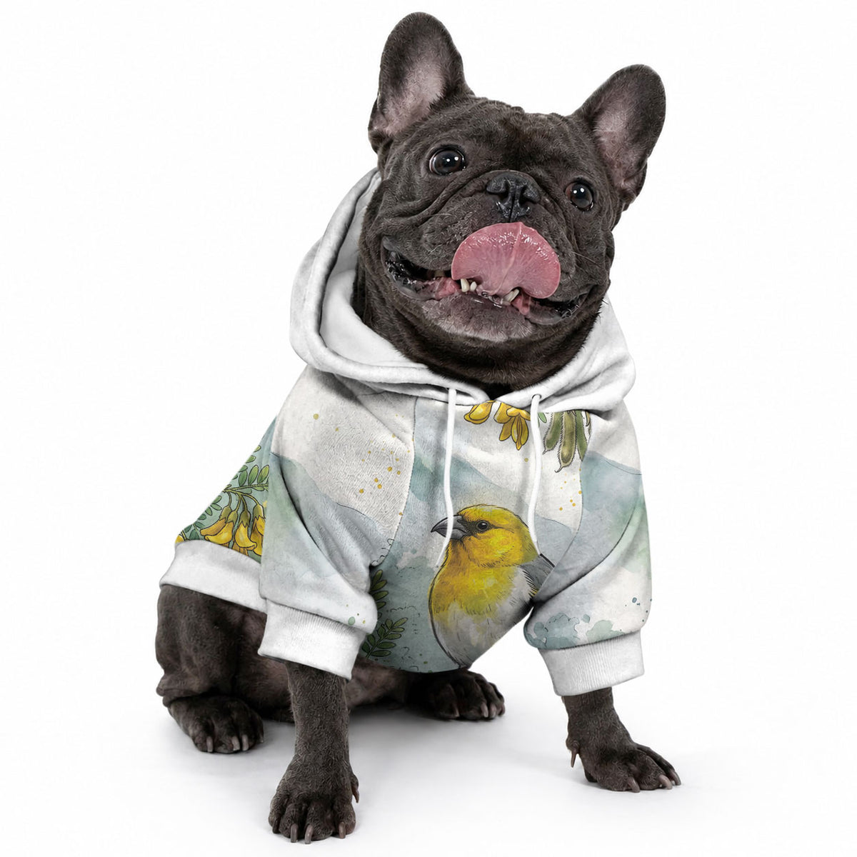 Aloha Hawaii Palila Mamane Watercolor Pet Hoodie LT14 - Polynesian Pride
