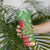 Kakapo New Zealand Christmas Skinny Tumbler Meri Kirihimete Pohutukawa - Green Color