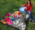 Tahiti Premium Quilt - Turtle Plumeria Banana Leaf - Polynesian Pride