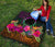 Cook Islands Polynesian Premium Quilt - Summer Hibiscus - Polynesian Pride